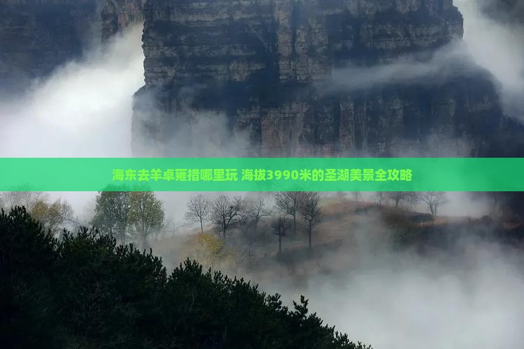 海东去西藏羊卓雍措哪里玩
