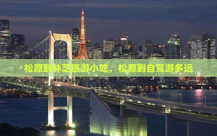 松原到西藏林芝旅游小吃