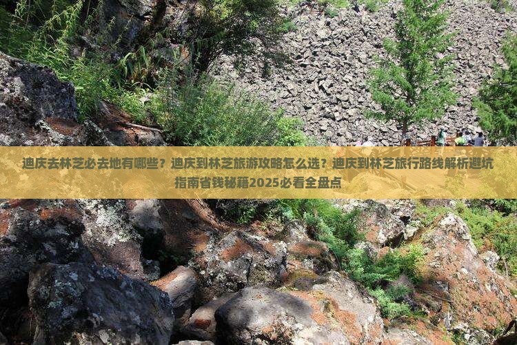迪庆去西藏林芝必去地