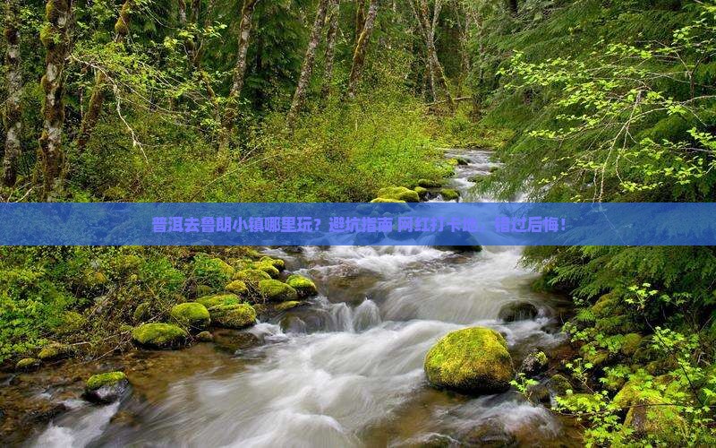 普洱去西藏鲁朗小镇哪里玩