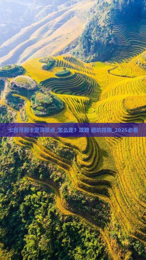 七台河到西藏卡定沟景点