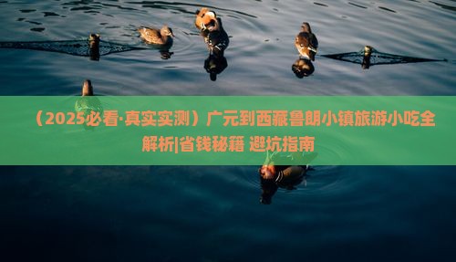 广元到西藏鲁朗小镇旅游小吃