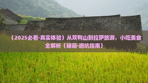 双鸭山去西藏拉萨旅游小吃