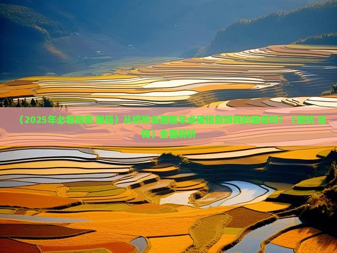 榆林去西藏羊卓雍措必去地