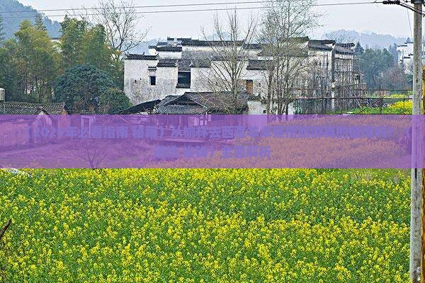 榆林去西藏羊卓雍措必去地