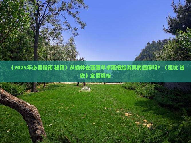 榆林去西藏羊卓雍措必去地