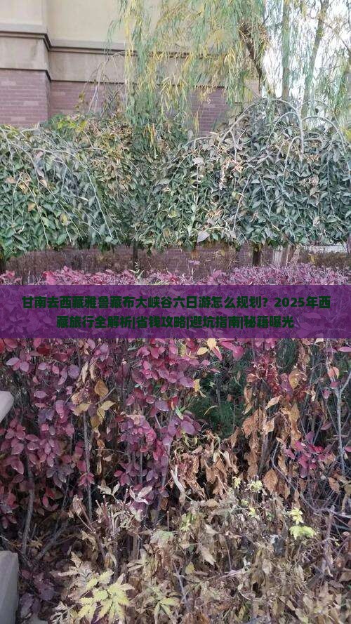 甘南去西藏雅鲁藏布大峡谷六日游