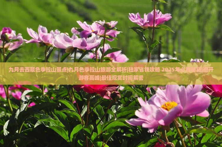 九月去西藏色季拉山景点