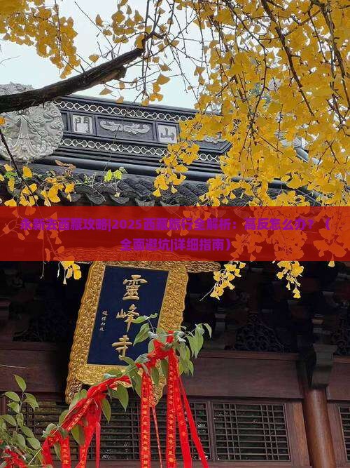 永新去西藏攻略