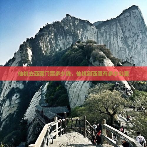 仙桃去西藏门票