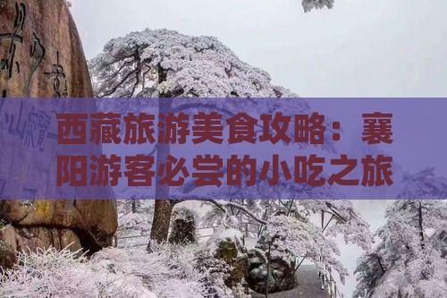 襄阳去西藏旅游小吃