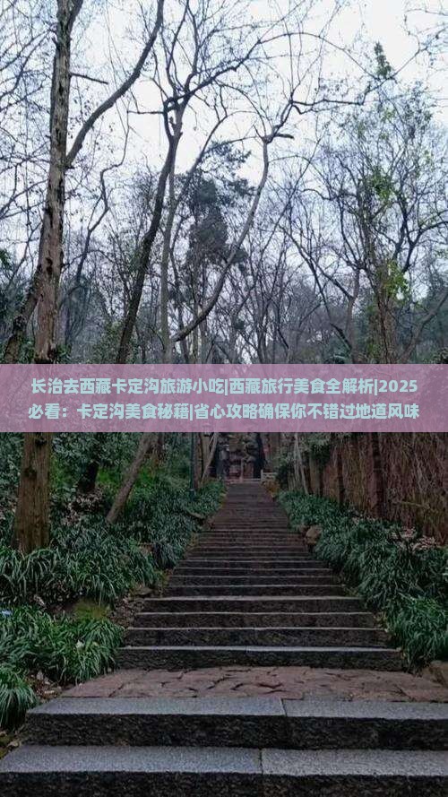 长治去西藏卡定沟旅游小吃 长治去西藏卡定沟旅游小吃
