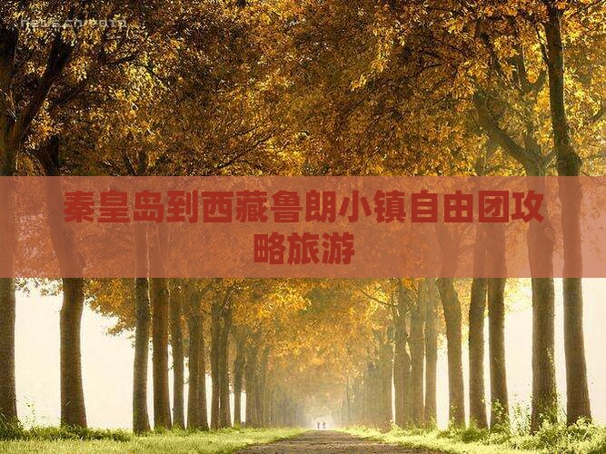 秦皇岛到西藏鲁朗小镇自由团
