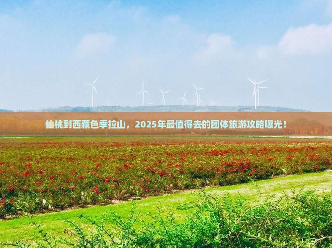 仙桃到西藏色季拉山团体旅游