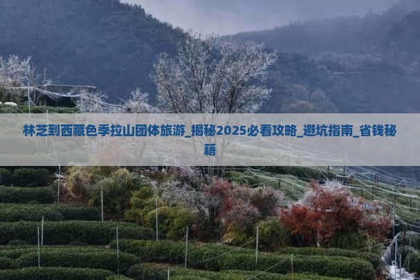 林芝到西藏色季拉山团体旅游