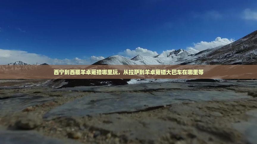 西宁到西藏羊卓雍措哪里玩