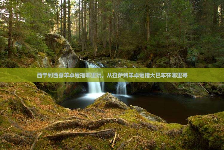 西宁到西藏羊卓雍措哪里玩