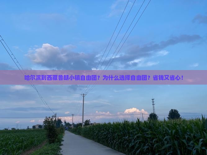 哈尔滨到西藏鲁朗小镇自由团
