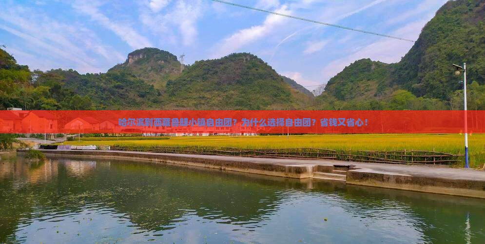 哈尔滨到西藏鲁朗小镇自由团