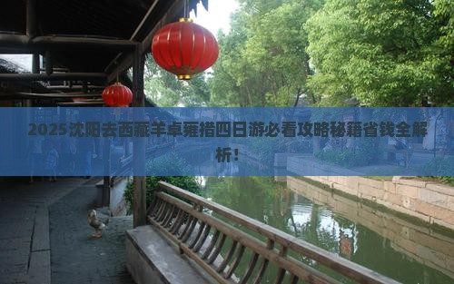 沈阳去西藏羊卓雍措四日游