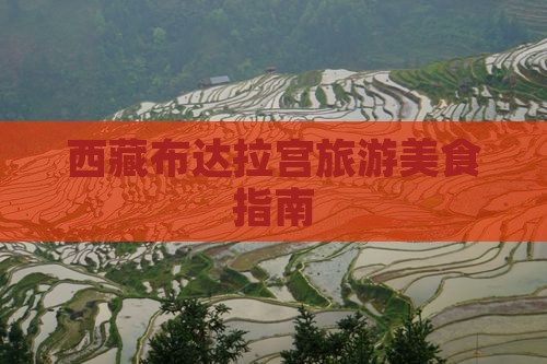 晋中到西藏布达拉宫旅游小吃