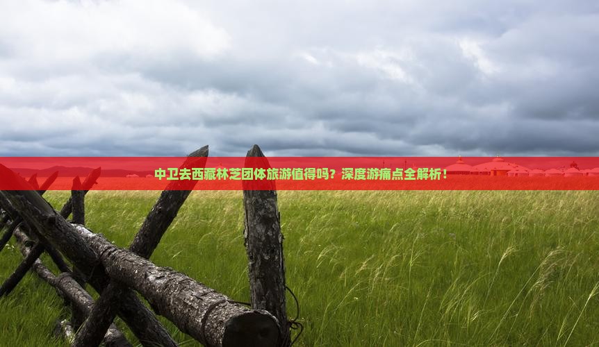 中卫去西藏林芝团体旅游