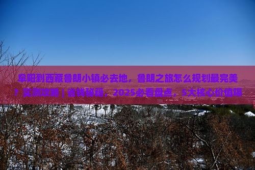 阜阳到西藏鲁朗小镇必去地