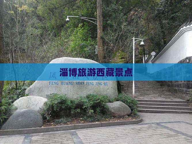 淄博去西藏景点