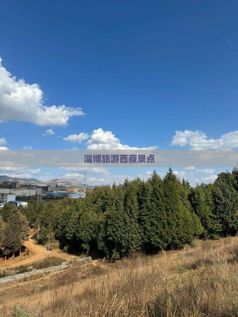 淄博去西藏景点
