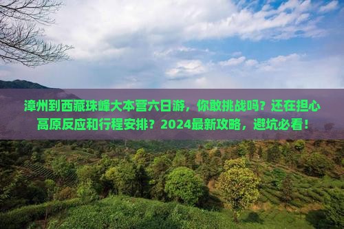 漳州到西藏珠峰大本营六日游