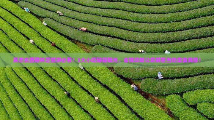 吴忠去西藏林芝旅游小吃