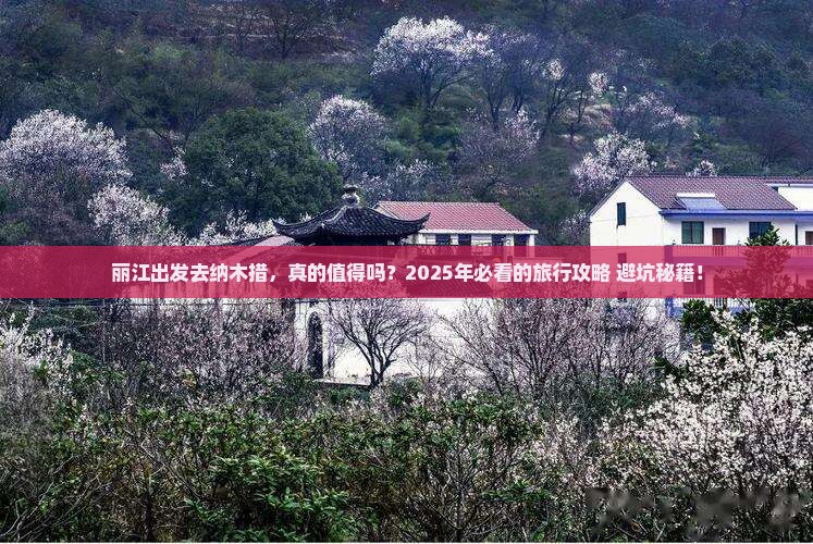 丽江到西藏纳木措旅行社