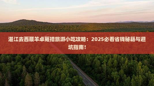 湛江去西藏羊卓雍措旅游小吃