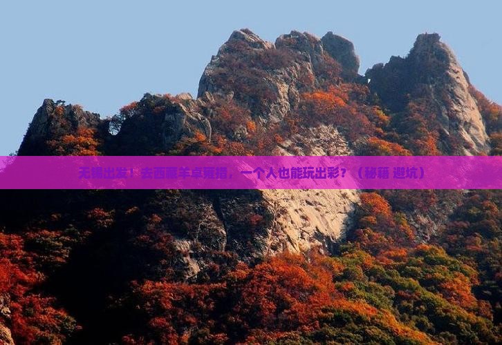 无锡到西藏羊卓雍措个人游