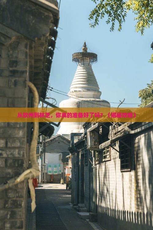 钦州到西藏林芝团体旅游