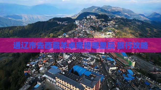 通辽市去西藏羊卓雍措哪里玩