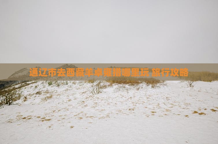 通辽市去西藏羊卓雍措哪里玩