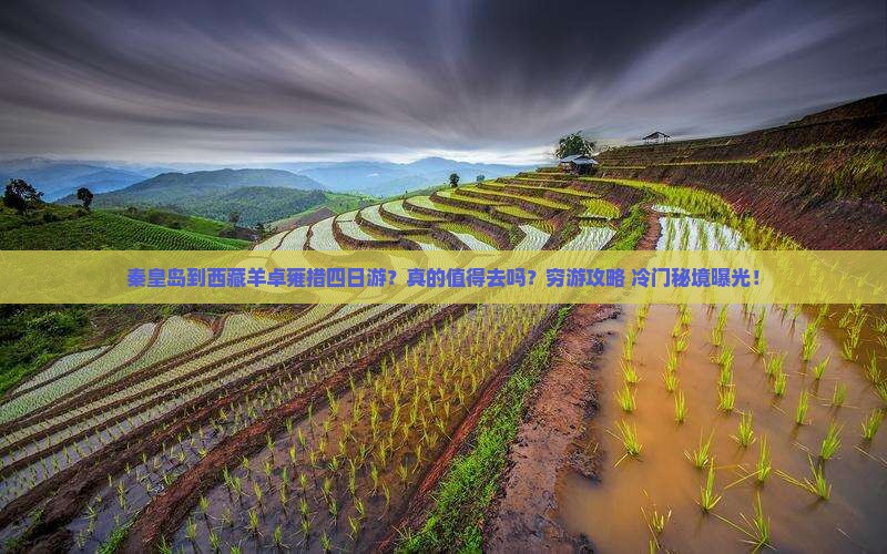 秦皇岛到西藏羊卓雍措四日游