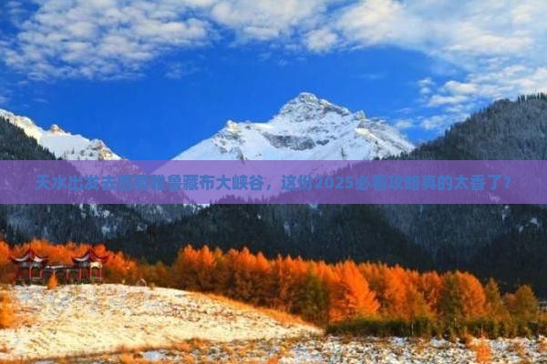 天水去西藏雅鲁藏布大峡谷旅游