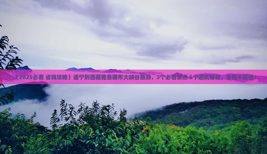 遂宁到西藏雅鲁藏布大峡谷旅游