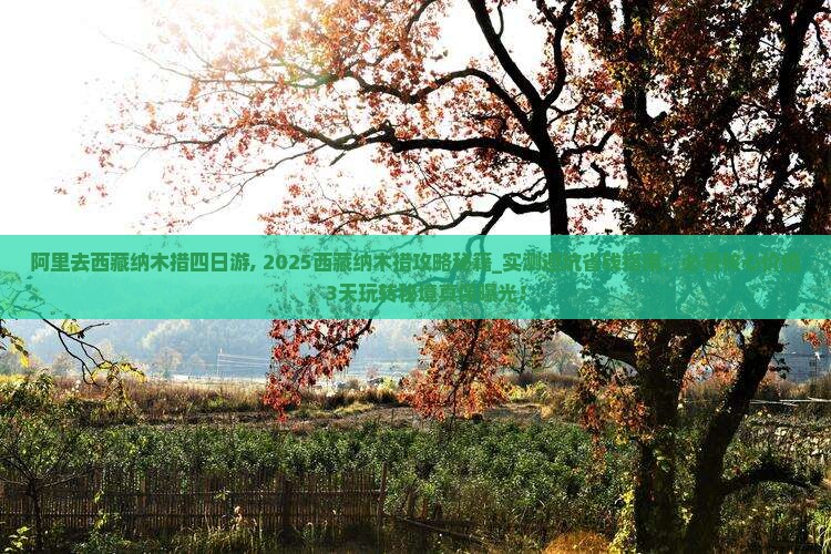 阿里去西藏纳木措四日游