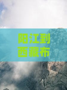 阳江到西藏布达拉宫必去地
