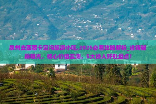 泉州去西藏卡定沟旅游小吃