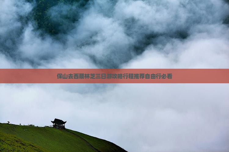 保山去西藏林芝三日游