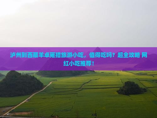 泸州到西藏羊卓雍措旅游小吃