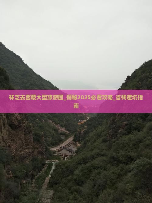 林芝去西藏大型旅游团