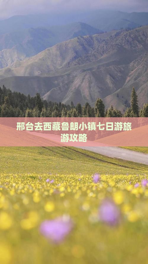 邢台去西藏鲁朗小镇七日游