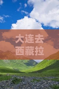 大连去西藏拉萨三日游
