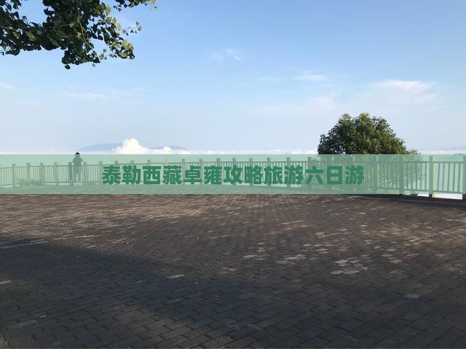 阿泰勒到西藏羊卓雍措六日游