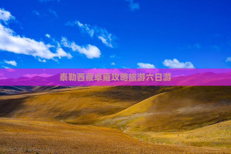 阿泰勒到西藏羊卓雍措六日游
